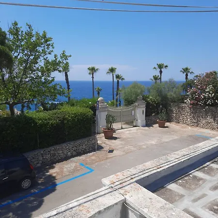 Paradiso *