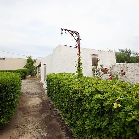 Paradiso * Patù